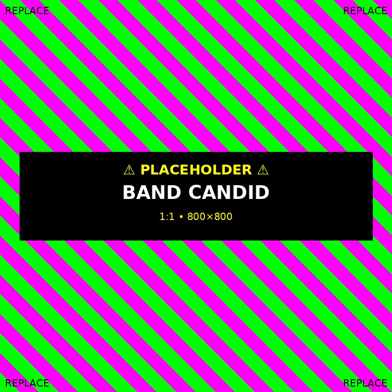 The Brotherhood band