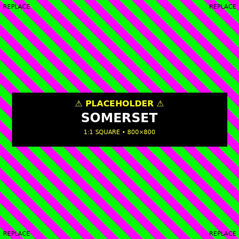 The Brotherhood performing at a wedding in Wedding Band Somerset